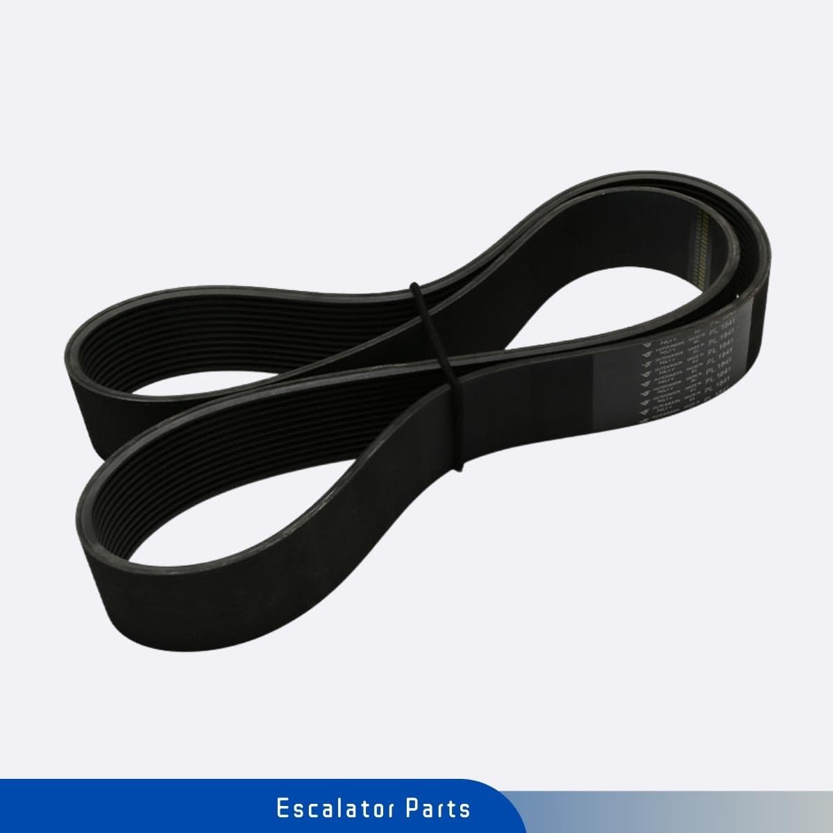 Banda Poly-V PL1841 para Escaleras de ThyssenKrupp