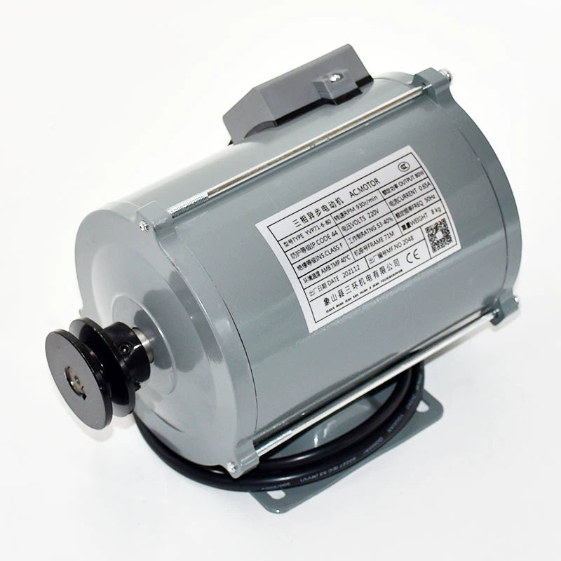 Three-Phase Asynchronous Elevator Door Motor YVP71-6-80 110W